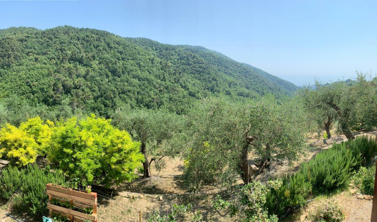 דירות סבורגה La Porta Del Sole מראה חיצוני תמונה